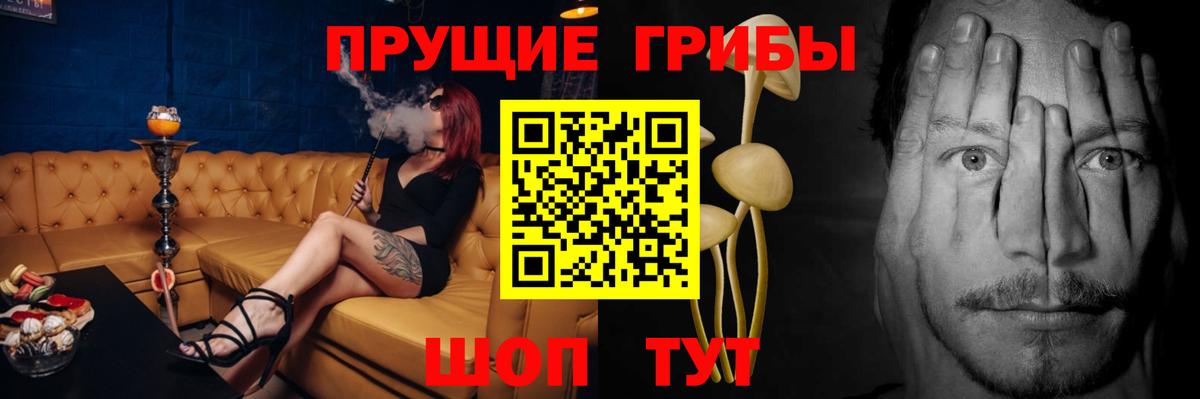 Галлюциногенные грибы GOLDEN TEACHER  Вход с VPN  Ачхой-Мартан 